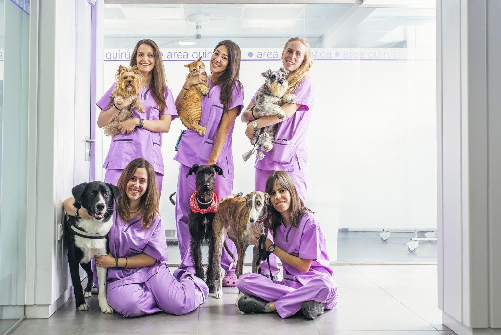 staff in the vet clinic