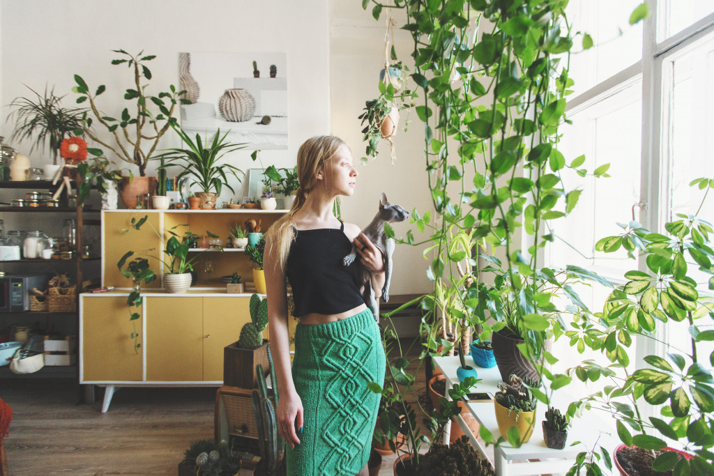 woman with indoor plants at home