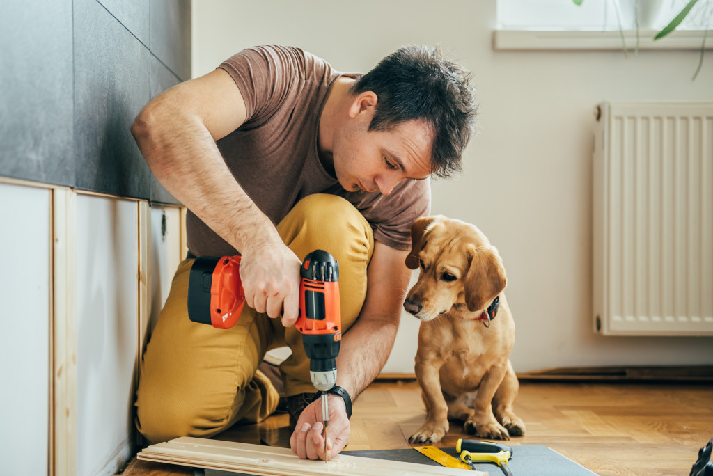 A pet watching his owner do some home modifications