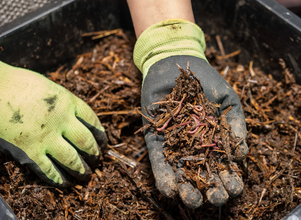 A hand showing a worm compost to use as a fertilizer