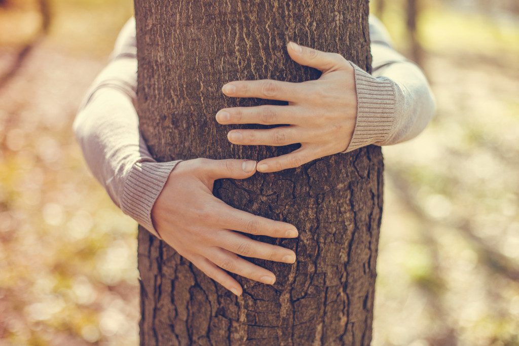 Hugging tree