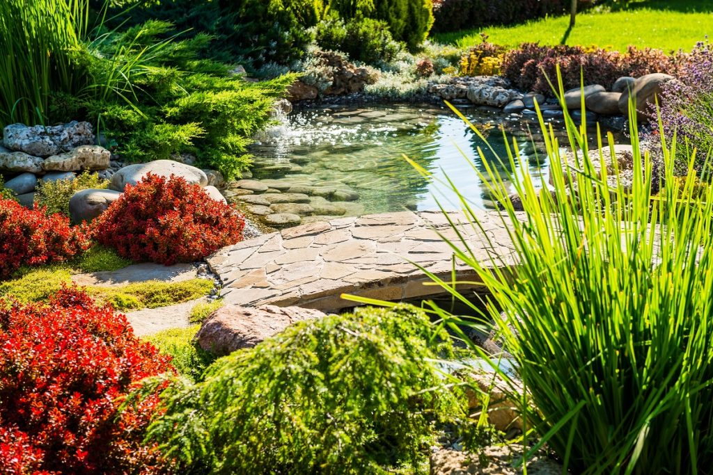 landscape design with water features