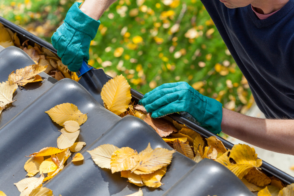 A person removing leaves from the gutters