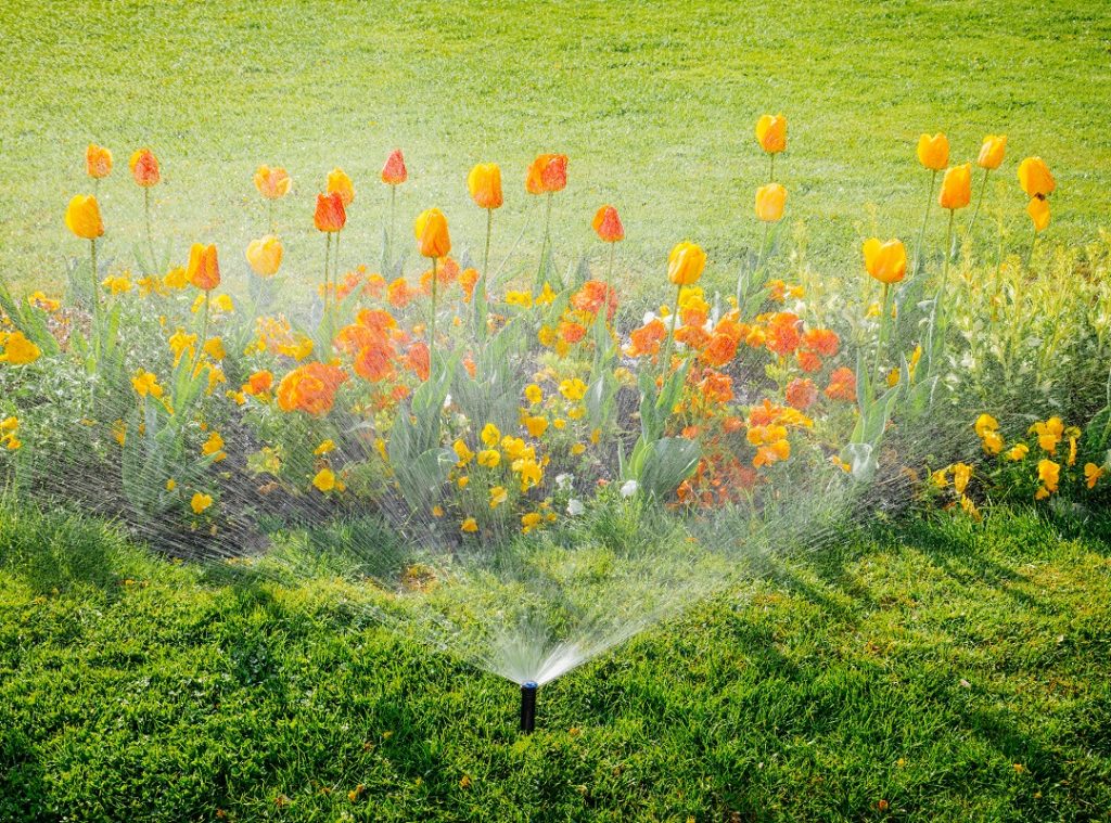 A sprinkler watering flower