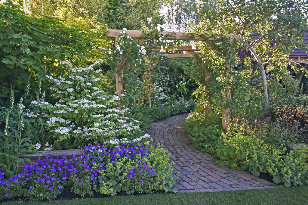 beautiful garden with pathway