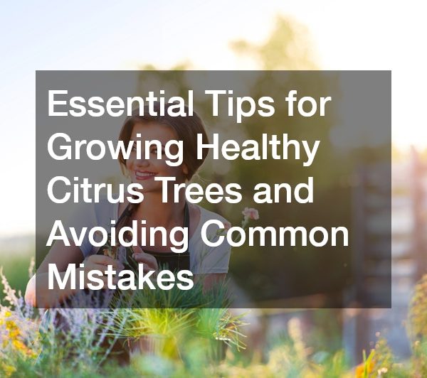 Essential Tips for Growing Healthy Citrus Trees and Avoiding Common Mistakes