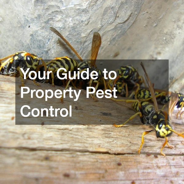 Your Guide to Property Pest Control