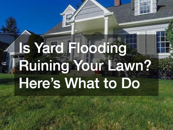 Is Yard Flooding Ruining Your Lawn? Here’s What to Do