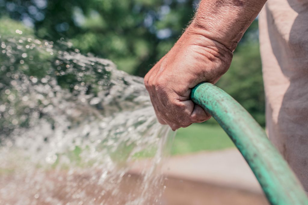 how long to water grass
