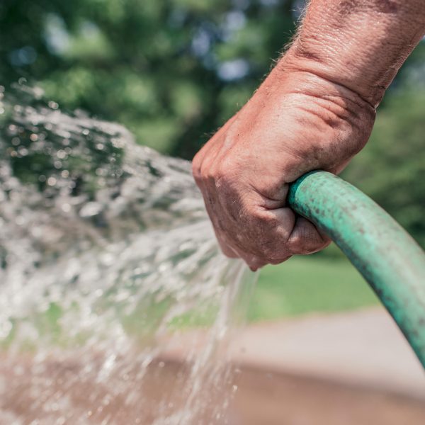 how long to water grass
