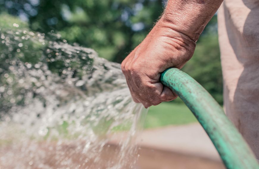 how long to water grass
