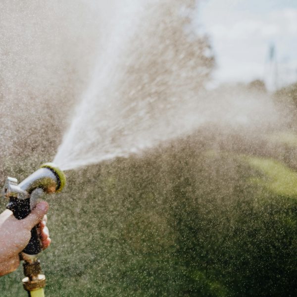 best time to water grass