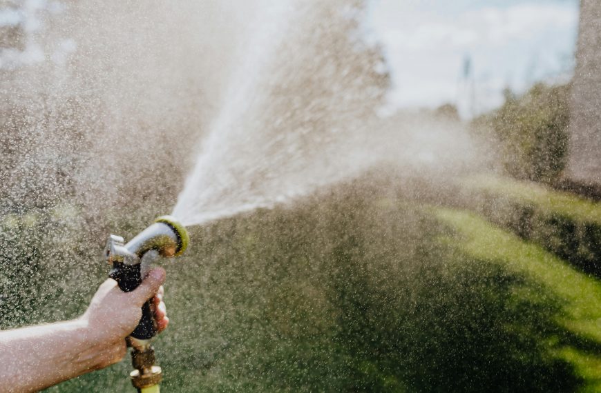 best time to water grass