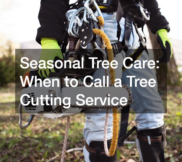 Seasonal Tree Care When to Call a Tree Cutting Service